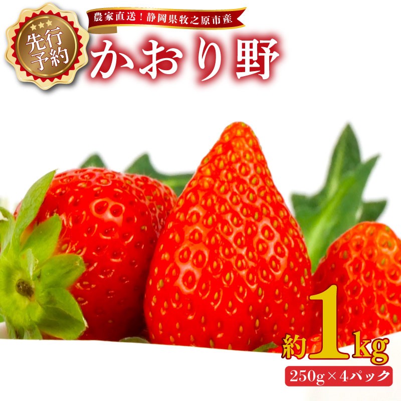 
                  【 2027年2月上旬から順次発送 】いちご かおり野 1kg 250g × 4パック 予約受付 期間限定 数量限定 苺 イチゴ ストベリー ベリー フルーツ スイーツ デザート くだもの 果物 果汁ストロベリー 甘い おいしい 国産 安心 濃厚 新鮮 フレッシュ 贈答用 プレゼント お歳暮 産地直送 農家直送 静岡いちご 静岡苺 牧之原いちご牧之原苺 かおりの 静岡県 牧之原市 有限会社ヤマセン
                