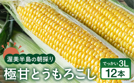 【先行予約】 朝採り極甘 とうもろこし 3Lサイズ 12本 とうもろこし