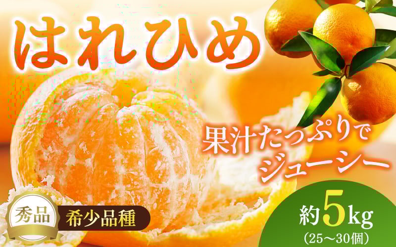 
            【先行予約】希少種みかん はれひめ 約5kg(25個～30個) 秀品 2025年12月中旬～2026年2月初旬頃に順次発送予定（お届け日指定不可）/ 和歌山 みかん はれひめ フルーツ 柑橘 蜜柑 果物 くだもの【kgr004A】
          