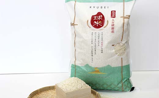 FKP9-682 【令和7年度産】球磨産白米 ひのひかり・くまさんの輝き各5kg 新米 白米 精米 ふっくら 国産米 おすすめ 農家