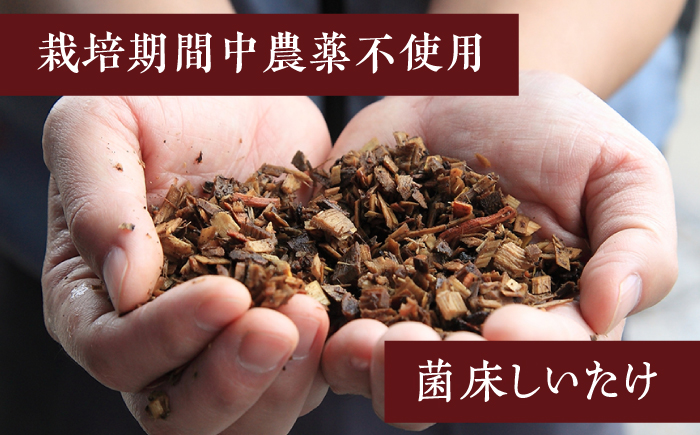 乾燥しいたけ 80g 2袋 計160g  / きのこ キノコ 茸 シイタケ  / 南島原市 / サンエスファーム [SBX004]