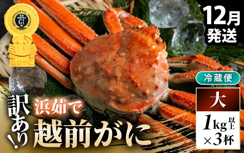 
                  【先行予約】【冷蔵】越前がに 訳あり 足折れ 大 1.0kg以上（茹で前）×3杯【2026年12月上旬以降順次発送予定】 [m21-x008_12]
                