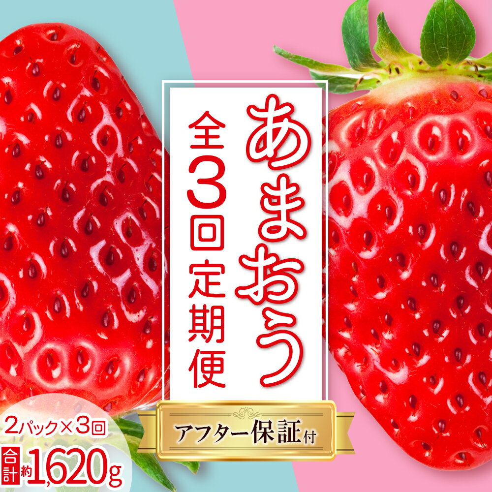 【ふるさと納税】【あまおう 定期便 全3回】【先行予約／2027年出荷】福岡県産 あまおう 約270g 前後 ×2パック いちご イチゴ あまおう 福岡限定 ブランド 果物 フルーツ ストロべリー スイーツ ケーキ パフェ スムージー ジャム 国産 福岡県 お取り寄せ 送料無料 3S20