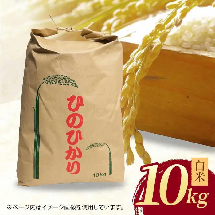 ヒノヒカリ 白米10kg 【角田農園】[ZEV002] 白米 コメ ごはん  熊本 山鹿