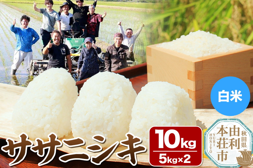 【白米】秋田県由利本荘市産 ササニシキ 10kg（5kg×2袋）令和6年産