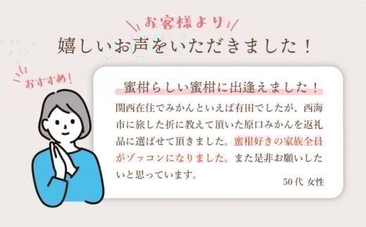 【11下旬より配送開始☆優品】原口みかん 約4kg（傷み保証分200g含む）＜川添みかん園＞ [CCT001] みかん