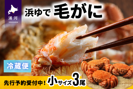 【先行受付開始！】漁協の浜ゆで毛がに 小サイズ３尾セット※日付指定対応不可※[02-1201]