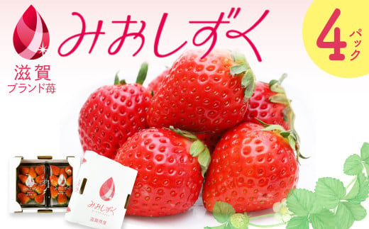 【予約受付】A-B26 いちご （みおしずく） ２箱（４パック入り） 苺 イチゴ いちご いちご 苺 ブランド苺 イチゴ ブランド みおしずく 大粒 苺 旬 産地 直送 フレッシュ イチゴ フルーツ 果物 国産 ベリー 贈答用 プレゼント 人気苺 ふるさと納税苺 ふるさと苺 furusato苺 おすすめ苺 株式会社東近江あぐりステーション