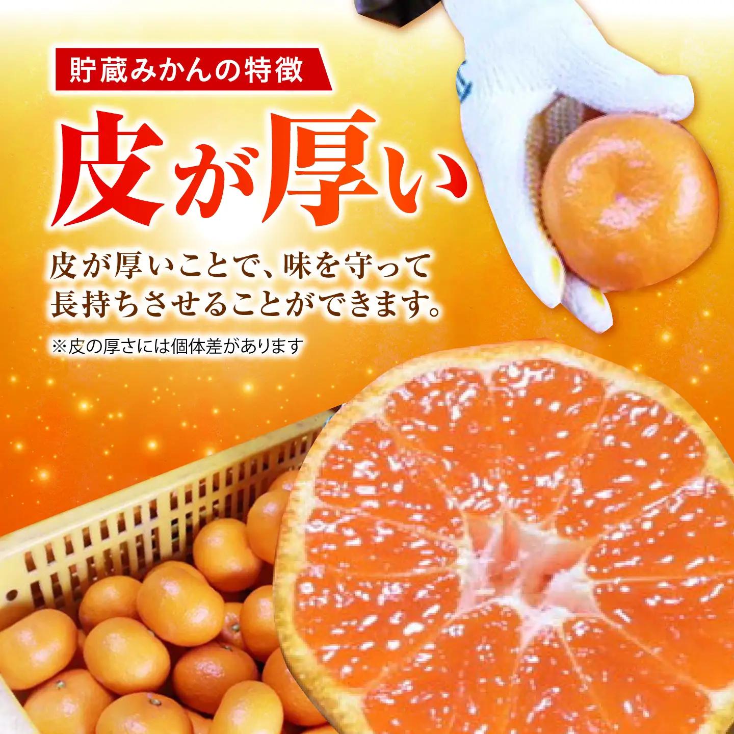 今村温州みかん 5kg みかん 果物 [HCE002]