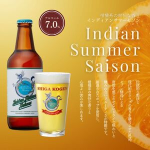 クラフトビール 定期便 6ヶ月 志賀高原ビール 12本 セット クラフトビール