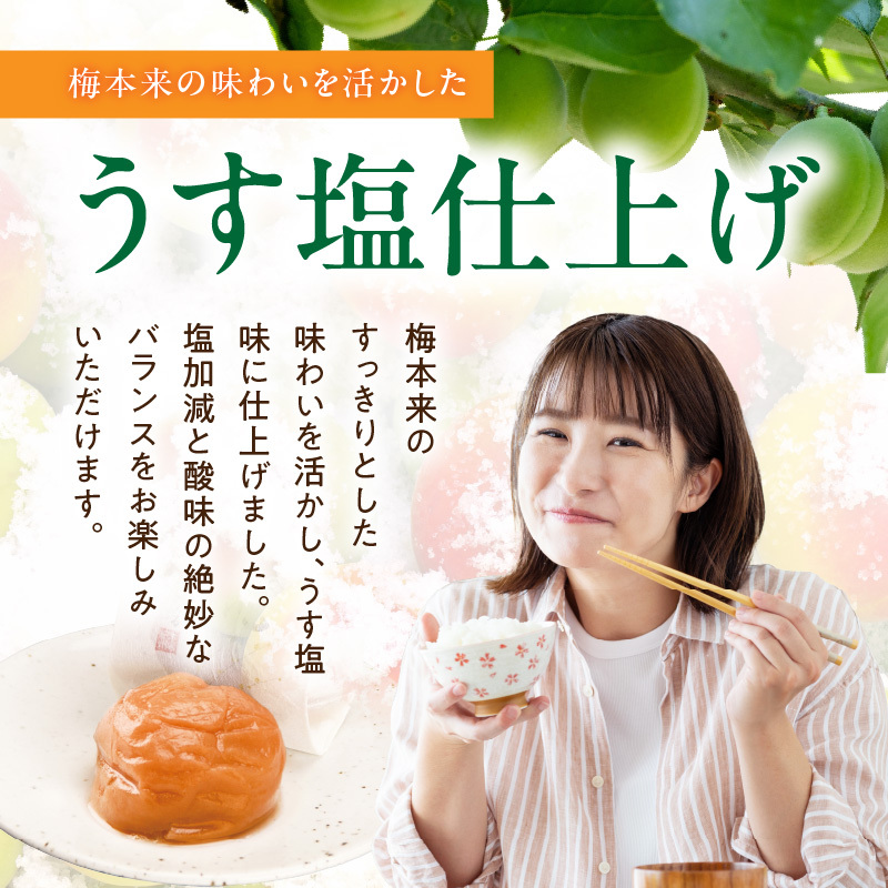 SF1029_紀州南高梅「稔」40粒入_イメージ4