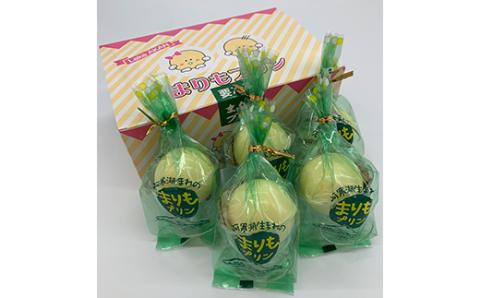 【期間限定！寄附額改定↓！】阿寒湖銘菓まりもプリン5個入と養殖まりもセット（オレンジ） 北海道 釧路 ふるさと納税 養殖まりも 飼育 プリン カスタード スイーツ 菓子 _F4F-1865