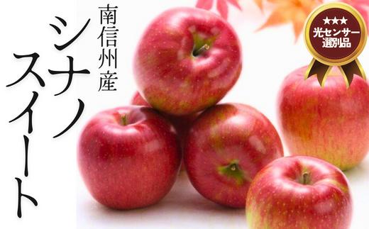 JA13-25A りんご シナノスイート 約5kg / 2025年9月下旬〜10月上旬頃配送予定 // 長野県 贈答 南信州 長野県オリジナル品種 甘い 新鮮 スイート リンゴ 厳選