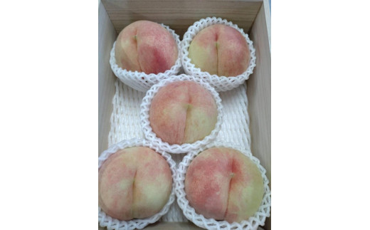 【2023年発送】白桃【品種おまかせ】桐箱　2ｋｇ　5～8玉