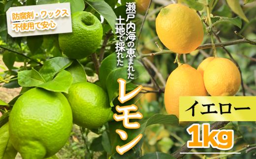 【2027年1月頃から順次発送】イエローレモン 約1kg ｜果物 くだもの フルーツ レモン れもん 檸檬 新鮮 かんきつ 柑橘 防腐剤不使用 ワックス不使用 グリーンレモン ぐりーんれもん イエローレモン いえろーれもん  国産 愛媛県 松山市 瀬戸内 レモン果汁 ビタミン レモンサワー ジュース チューハイ レモンシロップ レモンスカッシュ