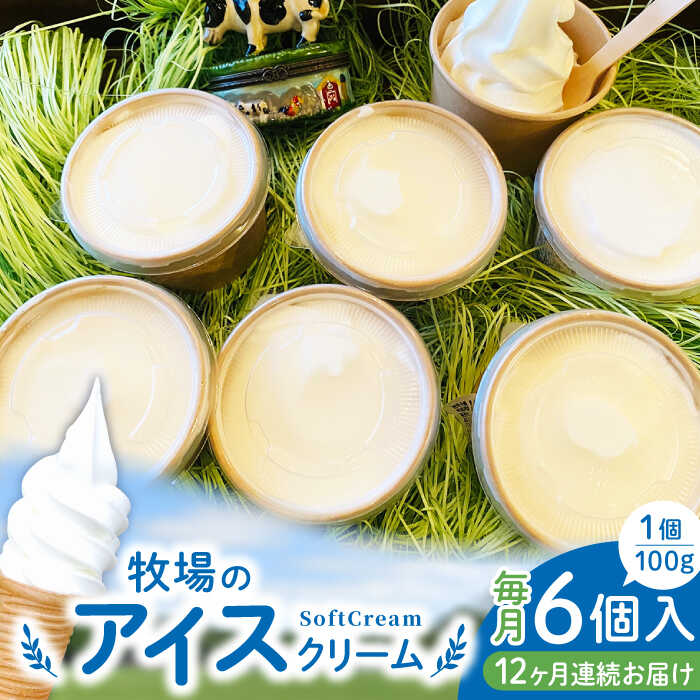【ふるさと納税】【全12回定期便】牧場の アイスクリーム セット ( 100g × 6個 ) / アイス ソフトクリーム ミルク デザート スイーツ お菓子 熊本 山都町【山の未来舎】[YBV023]