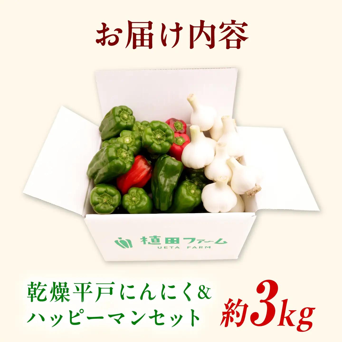 【先行予約】平戸にんにく＆ハッピーマンセット 約3kg〈2026年10月-11月末頃発送〉 ニンニク 自然乾燥平戸にんにく ピーマン 野菜 やさい おかず 副菜 お弁当 新鮮 おいしい 採れたて 国産