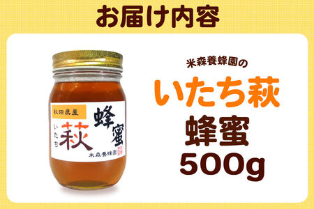 はちみつ いたち萩蜂蜜 国産 500g×1本 秋田県産100％ 秋田白神の天然蜂蜜 米森養蜂園 [はちみつ 天然 いたち萩蜂蜜 500g1本 蜂蜜 国産 ハチミツ ハニー 養蜂 白神山地 自然 まろや