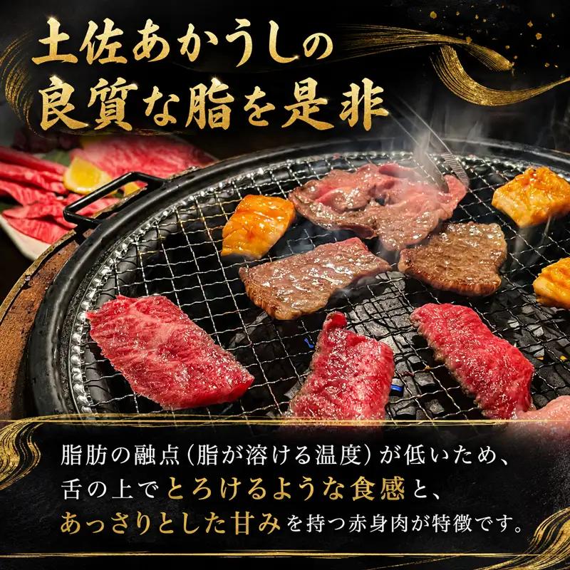 土佐あかうし ロース焼肉用 700g 希少 和牛 国産 MT-08