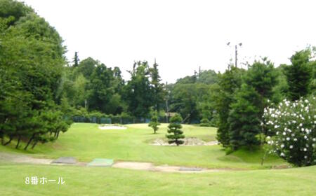 ゴルフ場利用券 白井ゴルフ林間ショートコース 平日2回プレー券 1名様分 白井市 ゴルフ場 お一人様でも回れるゴルフ場 おすすめ 体験 千葉 初心者歓迎 ショートコース ペアチケット 体験チケット