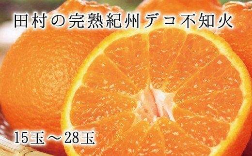 
										
										高級ブランド田村の完熟紀州デコ(不知火) ※2025年2月中旬頃～3月中旬頃に順次発送予定(お届け日指定不可)【uot731】
									