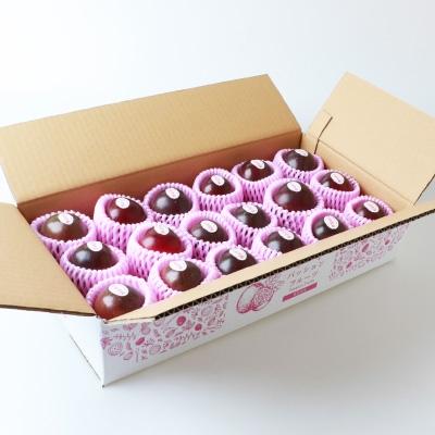 ふるさと納税 枕崎市 【先行受付】トロピカルパッションフルーツ約1.5Kg  A3-50 【発送は2026年6月中旬予定】 |  | 03