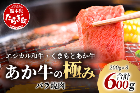 年末発送 【エシカル和牛】くまもと あか牛【あか牛の極み】バラ焼肉 200g×3 (計 600g) バラ 熊本 赤牛 ジューシー 牛肉 小分け 焼き肉 焼肉 やき肉 BBQ アウトドア 和牛 国産 SDGs 年末発送 年末 年始