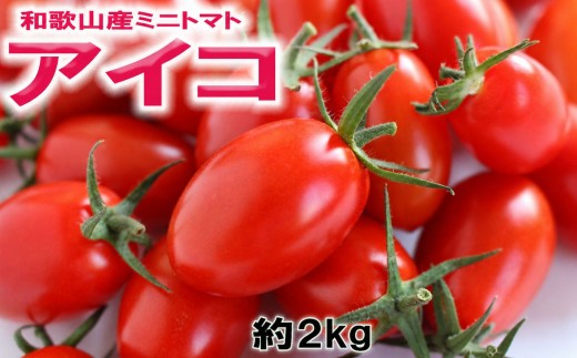 
                  和歌山産ミニトマト「アイコトマト」約2kg（M・Lサイズおまかせ）［2027年出荷分］【tec100B】
                