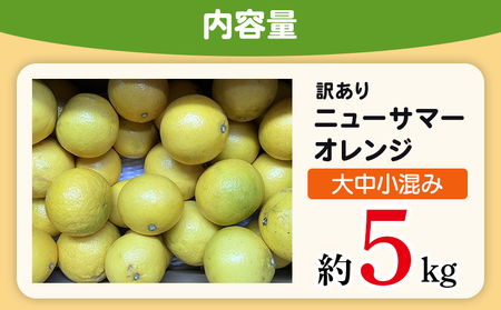 ＜木下さんちのニューサマーオレンジ 訳あり 約5kg（大中小サイズ混み）＞ 柑橘類 日向夏 ミカン 蜜柑 果物 くだもの フルーツ 国産 特産品 木下農園 愛媛県 西予市【常温】『2027年4月上旬～