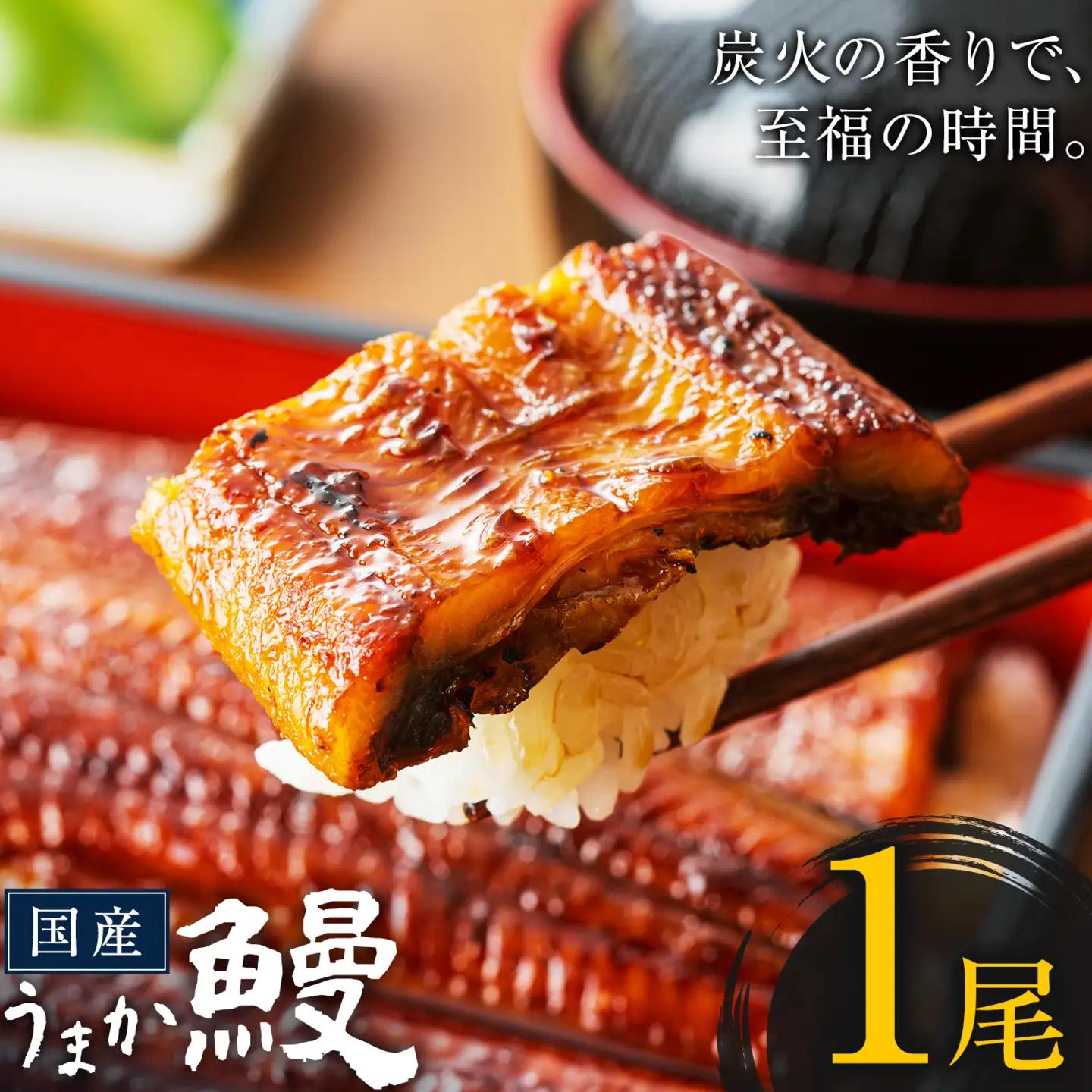 うなぎ ご家庭用 1尾  国産 タレ付  鰻