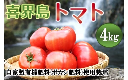 【2025年１月頃から発送】『喜界島トマト』自家製有機肥料(ボカシ)使用栽培　４kg