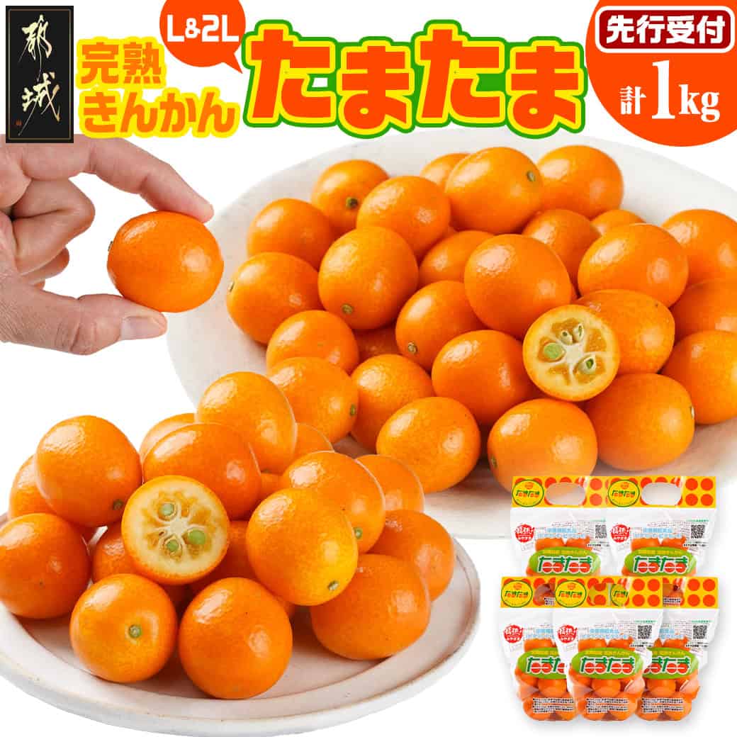 【ふるさと納税】《先行予約！》 完熟きんかん「たまたまL＆2L」 計1kg (スタンドパック入り) - 完熟 金柑 たまたま 宮崎 都城産 Lサイズ 200g×3袋 2Lサイズ 200g×2袋 先行受付 果物 くだもの 送料無料 AO-0104 【宮崎県都城市】