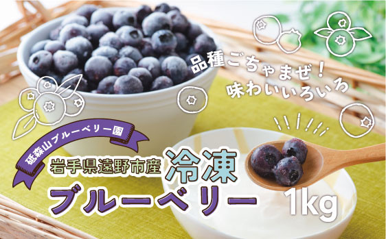 
            冷凍 ブルーベリー 1kg 岩手県 遠野市 遠野食工房蔵 / 栽培期間中 農薬不使用 無農薬 除草剤不使用 砥森山ブルーベリー園
          