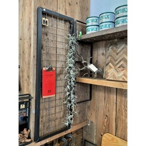 COBA(89)ハンキングシェルフ（AD089）