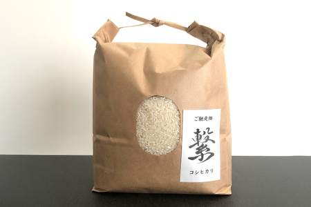 【期間限定発送】 米 令和7年 コシヒカリ 4.5kg [ご馳走畑 静岡県 吉田町 22424520] 令和7年産 お米 コメ 白米 おこめ こめ