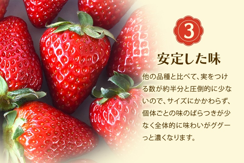 古都華 L～5Lサイズ 270g×4パック ／ 西田農園 ブランド いちご 苺 ことか フルーツ 果物 奈良県 葛城市