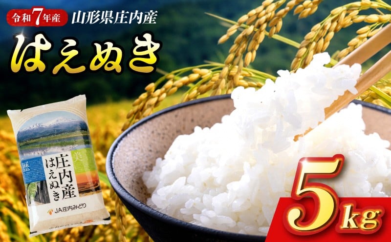 
                  はえぬき 5kg 令和7年産米 山形県庄内産  米 お米 精米 白米 農協 産地直送 JA庄内みどり SA2856
                