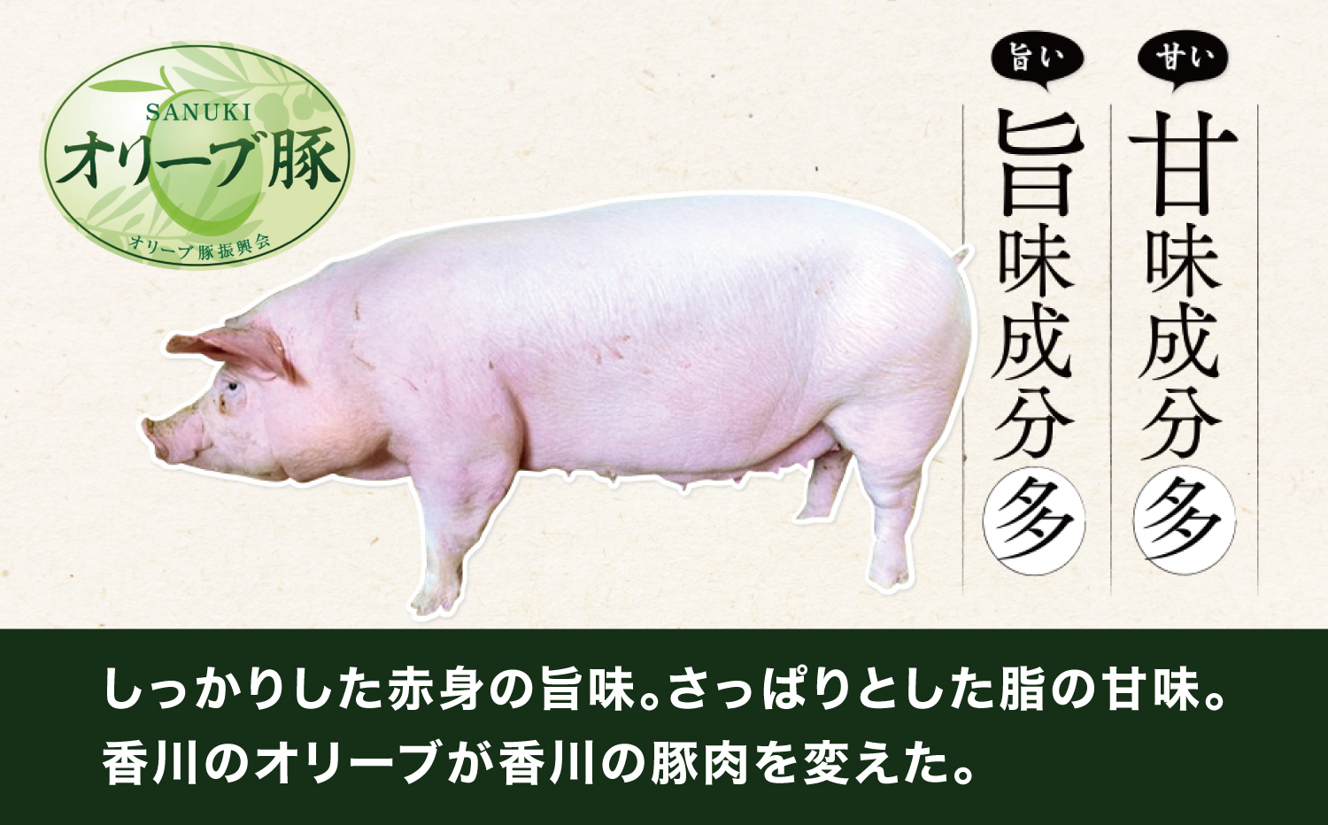 M183-0013_オリーブ豚ロース　しゃぶしゃぶ・鍋用500g×2パック