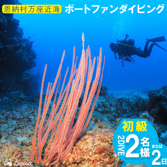チケット ファンダイビング ｜ 初級2DIVE（2名 or 2日）万座近海【恩納村ラグーン】