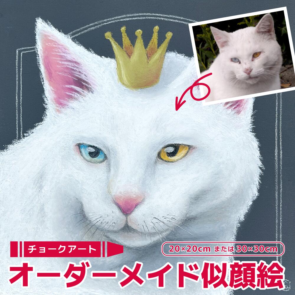 【ふるさと納税】チョークアート動物画 20×20cm/30×30cm 選べるサイズ オーダー 記念品 メモリアルグッズ ギフト ペット 犬 猫 鳥 うさぎ イラスト 似顔絵 時津町 送料無料