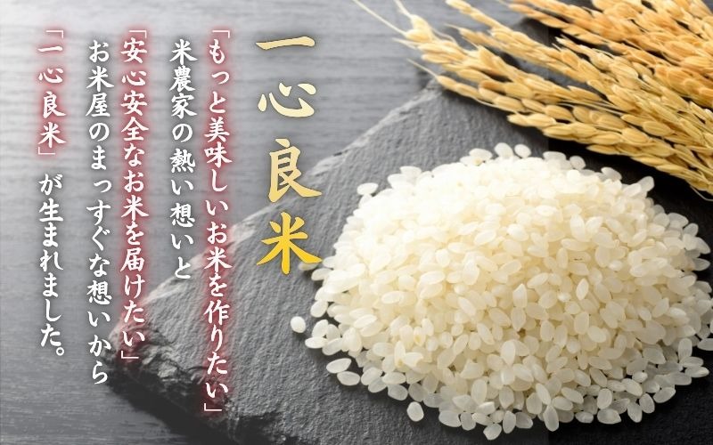＜全6回定期便＞ 真庭市産コシヒカリ 米ぬか 牡蠣栽培米 『 一心良米 』 無洗米 10kg (5kg×2袋）×6回 令和8年産 / お米 いっしんりょうまい 岡山県 こしひかり 人気 ブランド 2026年産 【tkns-tkb037】