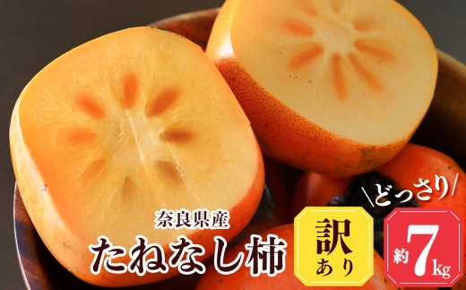 【 堀うち農園 】どっさり 約 7kg 訳あり たねなし柿  | フルーツ くだもの 果物 柿 かき カキ デザート 秋の味覚 自宅用 家庭用 特産品 果実 10月 11月 秋 旬 味覚 グルメ お取り寄せ 送料無料 大容量 農家直送 産地直送 ビタミン タンニン 食物繊維 豊富 美容 健康 種なし タネなし わけあり 訳アリ ご自宅用 皮ごと 食べられる 不揃い 奈良県 五條市