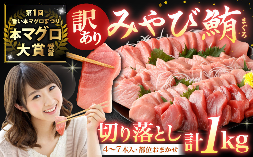
            【訳あり】みやび鮪 規格外切り落とし (大トロ・中トロ・赤身)  部位おまかせ 計1kg ／ マグロ 鮪 まぐろ 刺し身 刺身 国産 本まぐろ 本鮪 冷凍 魚 魚介 まぐろ丼 まぐろ漬け丼 海鮮丼 おすすめ 長崎
          