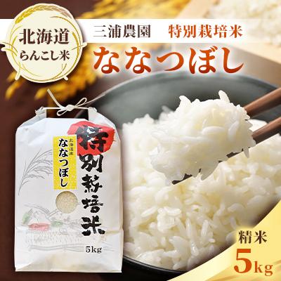 ふるさと納税 蘭越町 令和7年産　らんこし米 三浦農園 特別栽培米 精米 ななつぼし5kg