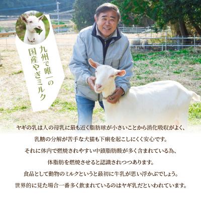 ふるさと納税 大分市 ヤギミルクアイスクリーム 6個セット_J06014 |  | 01