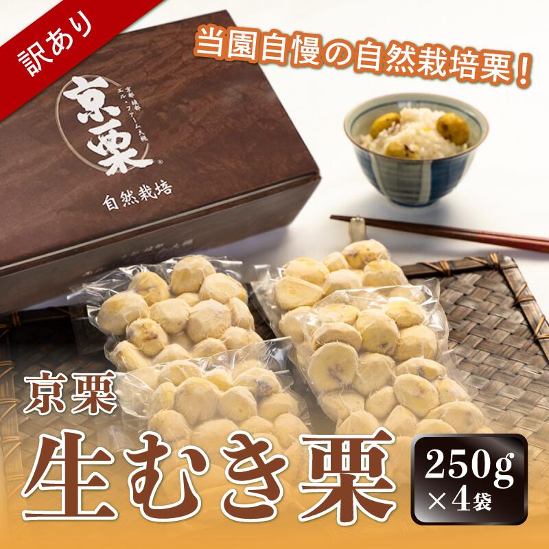 【ふるさと納税】《11月中旬以降発送》【訳あり】京栗 生むき栗 冷凍 1kg（250g×4袋） / 栗 フルーツ 訳あり 綾部市 / エル・ファーム大槻［BSAR014］