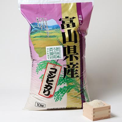 ふるさと納税 小矢部市 松永うの花農園産　コシヒカリ　10kg |  | 01