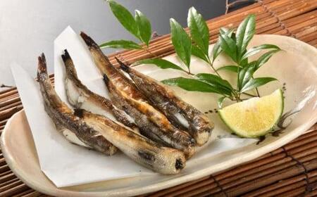 干物 縄文干し 詰合せ 5種セット 干物 ひもの