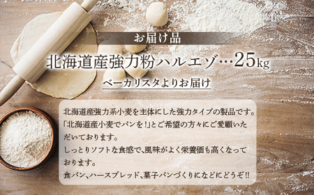 北海道産強力 ハルエゾ 25kg 【ふるさと納税 人気 おすすめ ランキング 強力粉 パン 粉 小麦粉 北海道 豊浦町 送料無料】TYUAI001 
