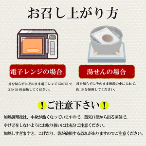 ハンバーグ 10個 冷凍 ハンバーグ 惣菜 肉 おかず MB003